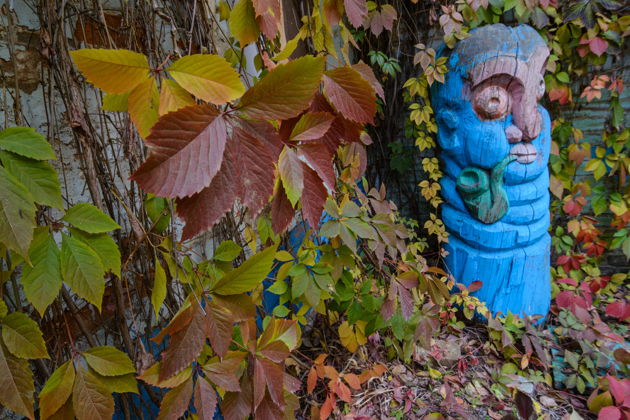 Загадки самарских дворов