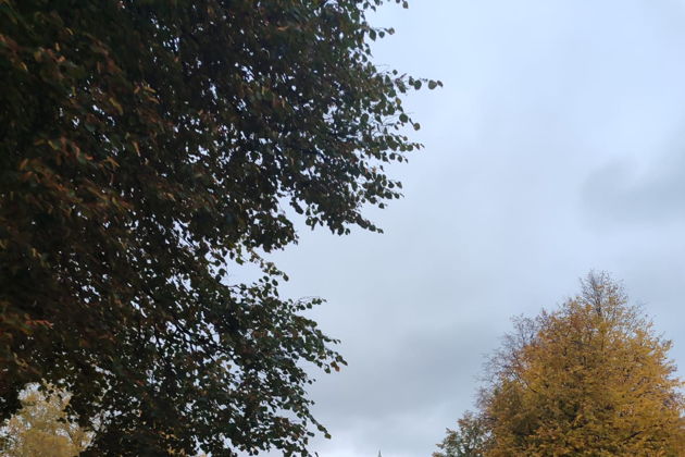 Виды Владимир: от истоков к величию