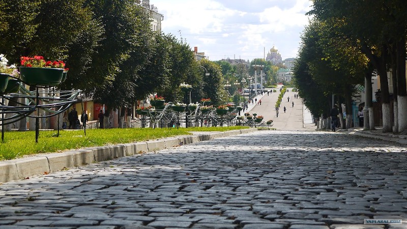 Орел казань на машине