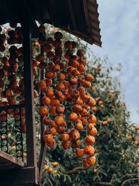Вкус Абхазии: застолье, культура, фольклор - фото 1