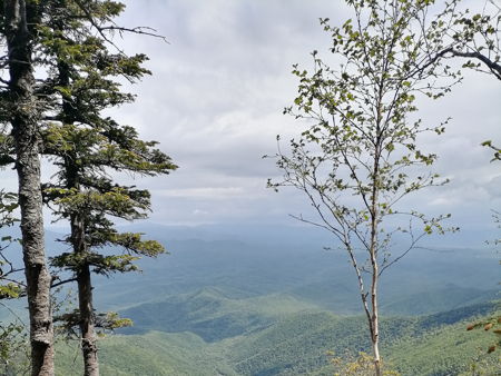 Гора Литовка