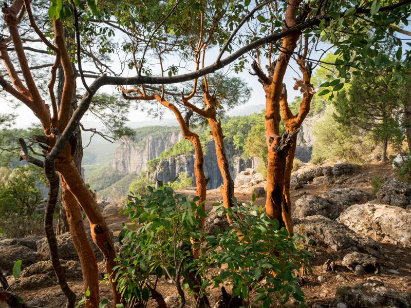 Экскурсия в Тазы каньон из Антальи — фото 7, Анталья | Покатаем