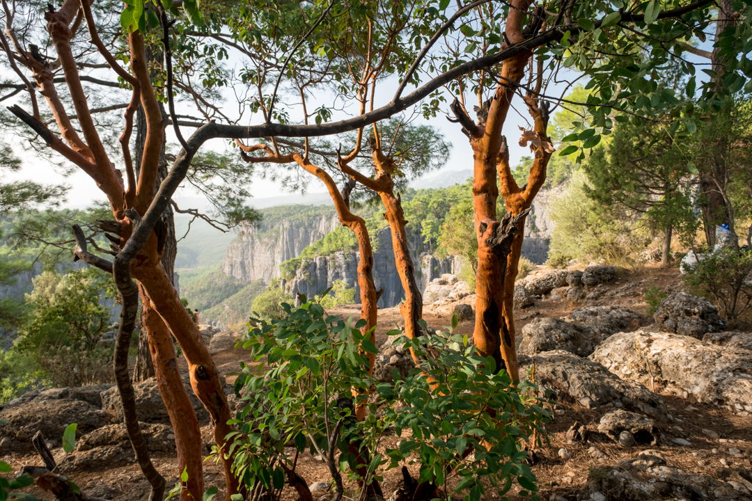 Экскурсия в Тазы каньон из Антальи — фото 6