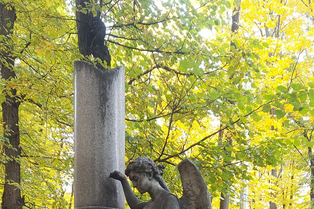 Виды Кино и немцы