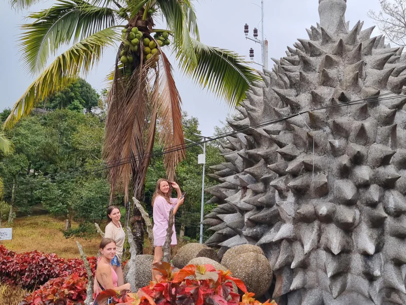 Авторские туры по Самуи в формате живого Тревел-приключения LOST SAMUI — фото 6, Самуи | Покатаем