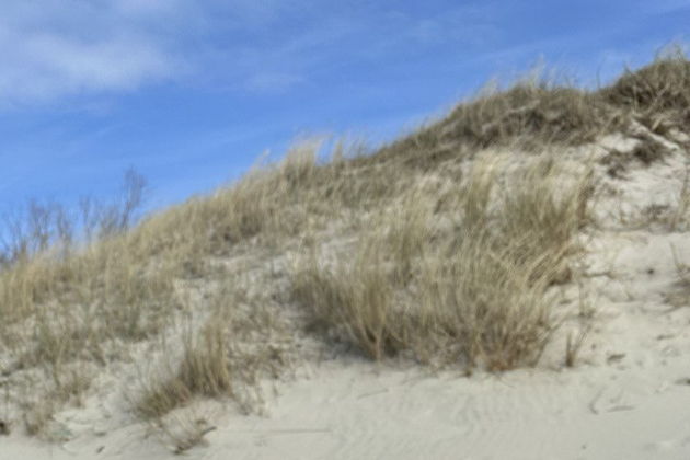 Виды Куршская коса и Зеленоградск: «О времени, затерянном в песках...»