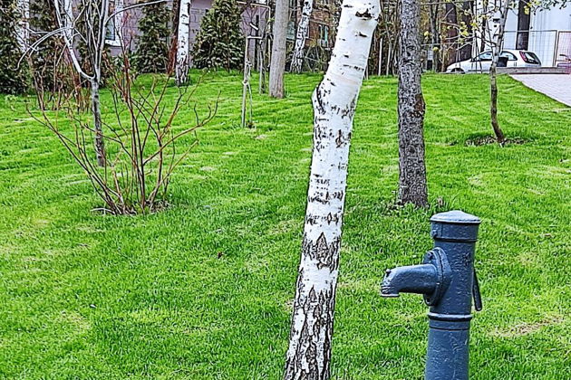 Виды Беговая экскурсия по центру Нижнего