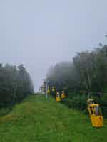 Экскурсия "Золото Балтики: тайны Янтарного и величие Балтийска" - фото отзыва 4