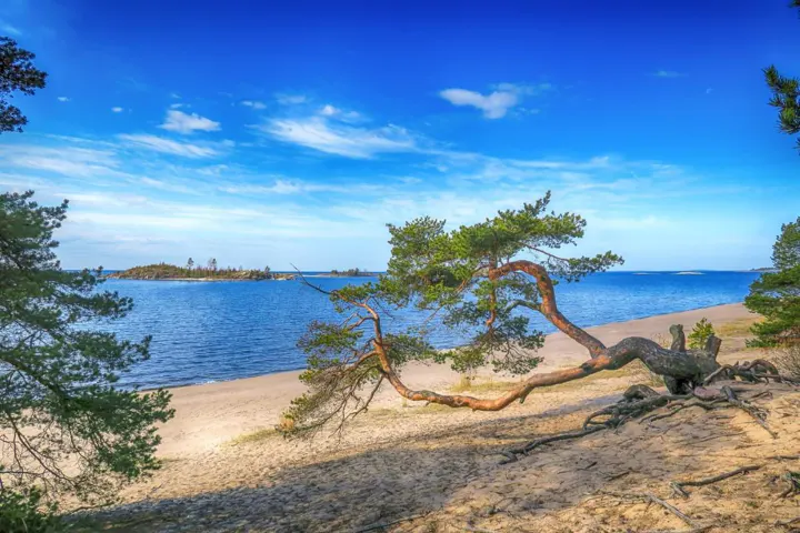 Поселок Куркиеки