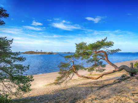 Поселок Куркиеки