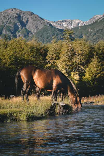 Прогулка на лошадях по горам Геленджика - фото 4