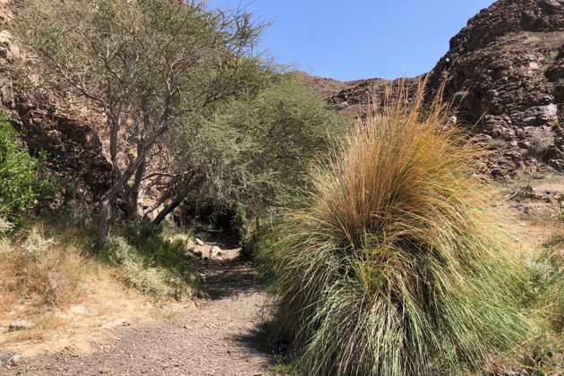 Виды Поход по Вади-Шоука — горные тропы, природа и приключения