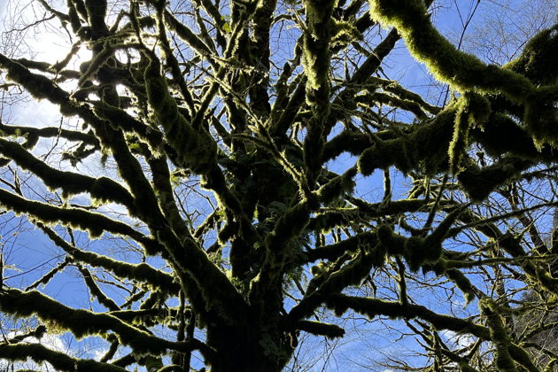 Виды Большое путешествие по Абхазии (из Гагры)