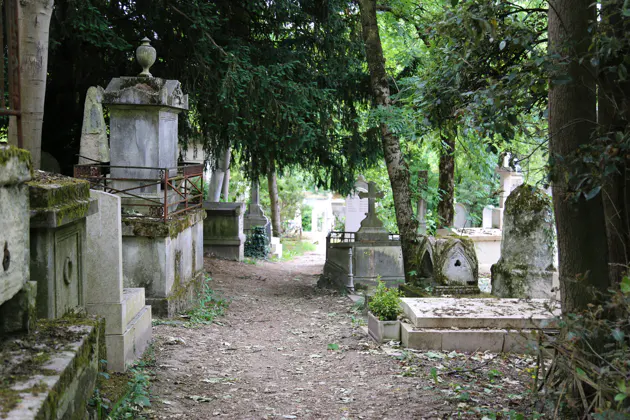 Пер-Лашез: тишина, в которой говорит история — фото 2