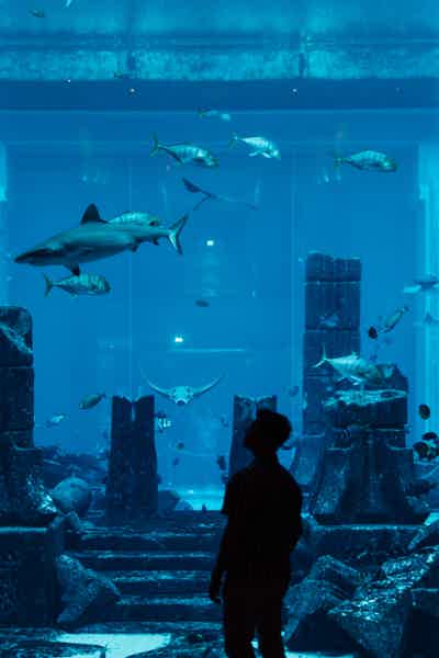 Dubai Full-Day Tour with The Burj Khalifa & Atlantis Aquarium - photo 2