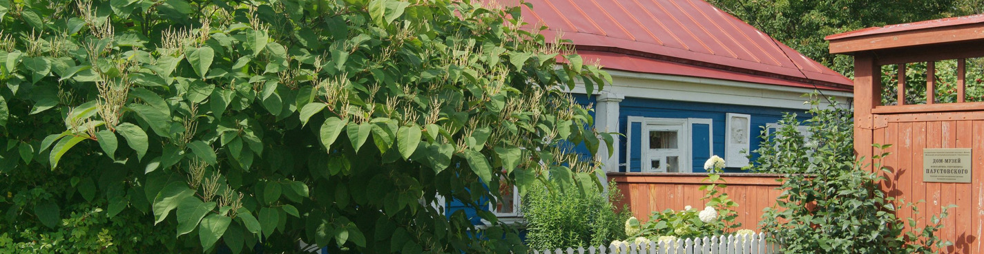 История малых городов: Серпухов и Таруса на транспорте туристов