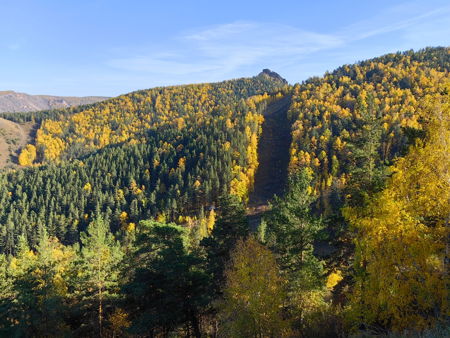 Фанпарк «Бобровый лог»