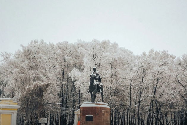 Виды Снежная обзорная по Рязани с посещением Музея-усадьбы И.П.Павлова