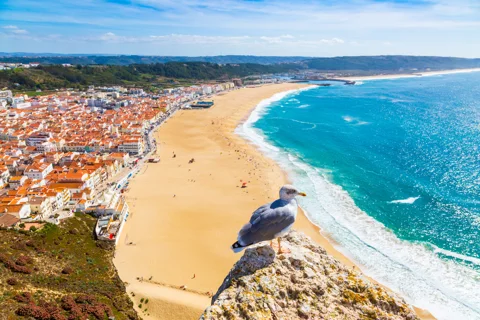 Природные сокровища Португалии