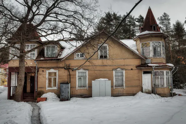 Комарово. Аудиопрогулка по Лесной стороне — фото 2