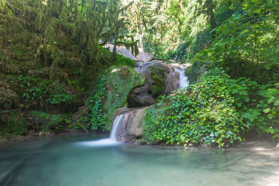 Прогулка по водопадам и сбор сезонных фруктов в Сочи - фото 4