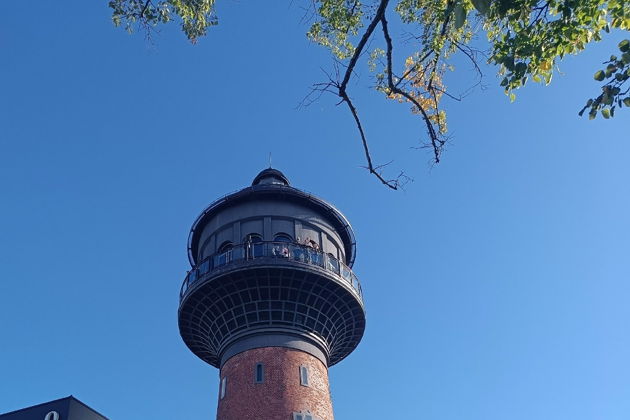 Виды Природа и архитектура Балтийского побережья (Куршская коса - Зеленоградск - Светлогорск)
