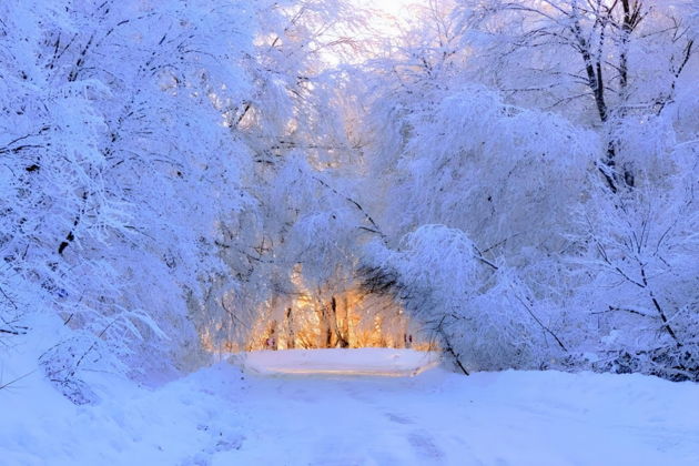 Виды Волшебный День в Лесу Сабадури и Хрониках Грузии