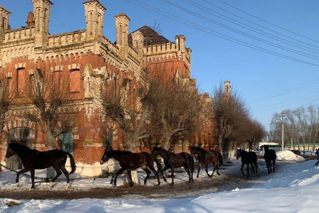 Виды В усадьбе фон Дервиза. Рязанская область 