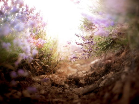 Дом офицеров флота