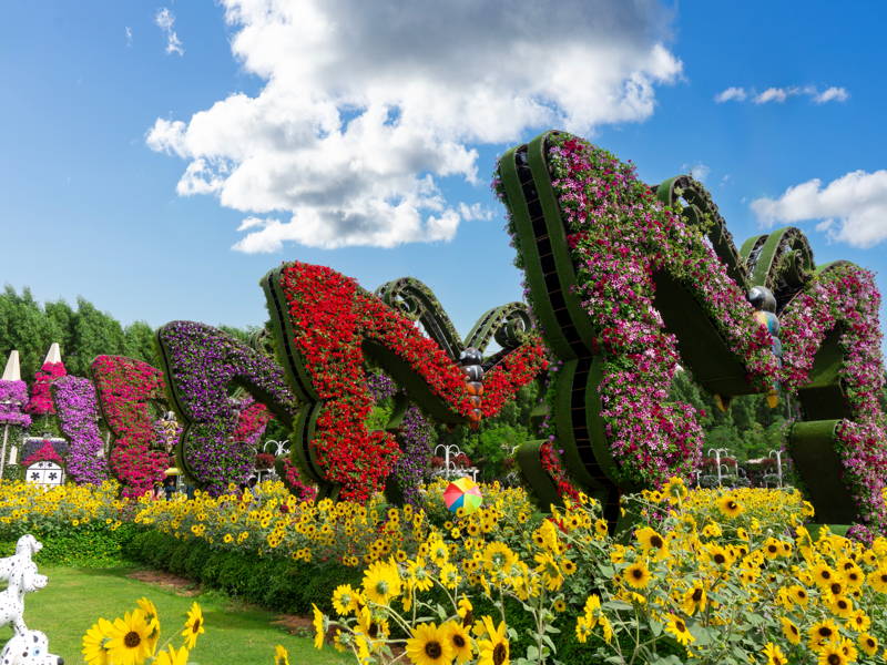 Мир бабочек: входной билет в Dubai Butterfly Garden