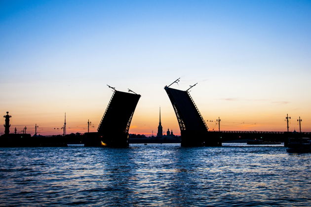 Виды Индивидуальный тур по Петербургу