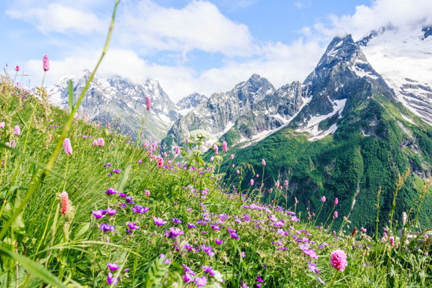 Виды Индивидуальный тур в Домбай из Пятигорска