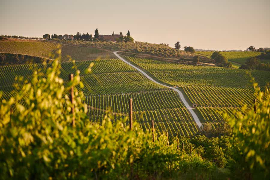 Tuscany by Vespa Full-Day Tour to Chianti Wine Region    - photo 2