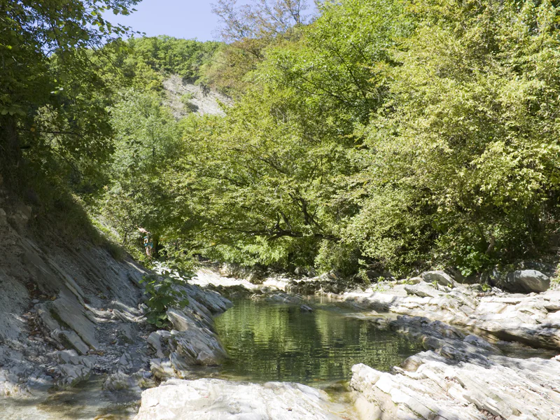 Прогулка к Белому водопаду: несложный треккинг в горах — фото 7, Архыз | Покатаем