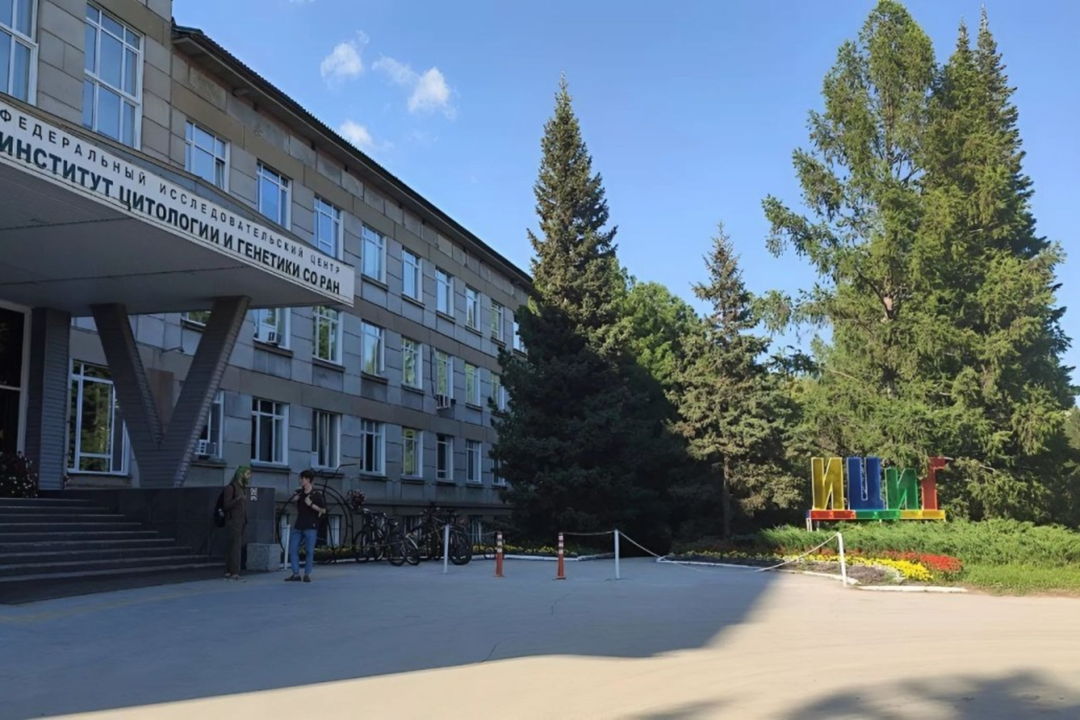Тропами великих ученых: путешествие по Академгородку — фото 4