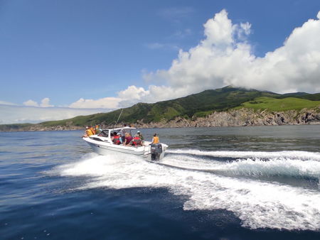 Остров Томящегося сердца