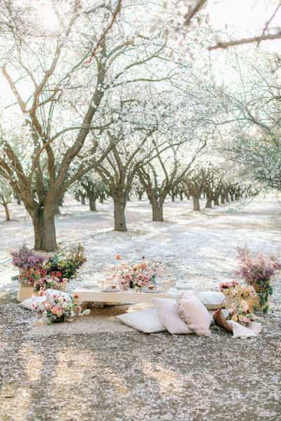 Арт-пикник в цветущем яблоневом саду - фото 5