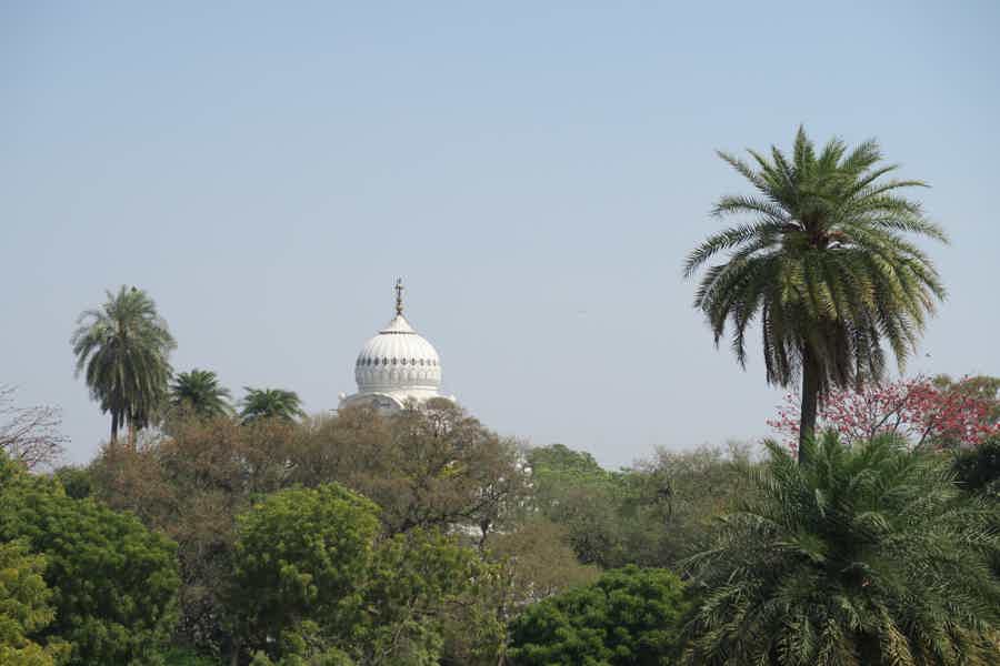Незабываемые дни в Дели - фото 5
