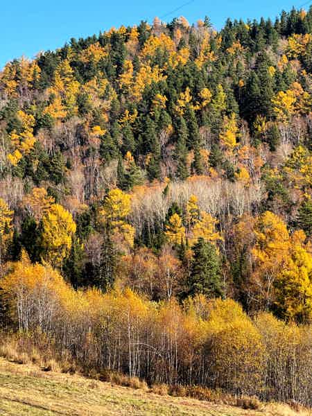 Весенний Байкал — путешествие к истоку Ангары - фото 6