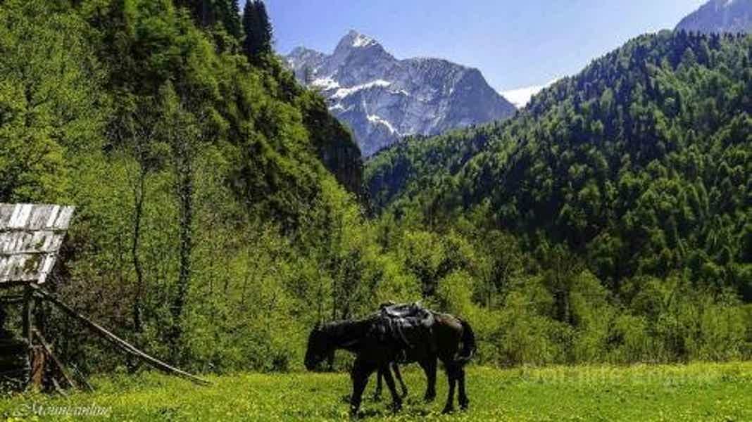 Конная прогулка в Адлере - фото 1