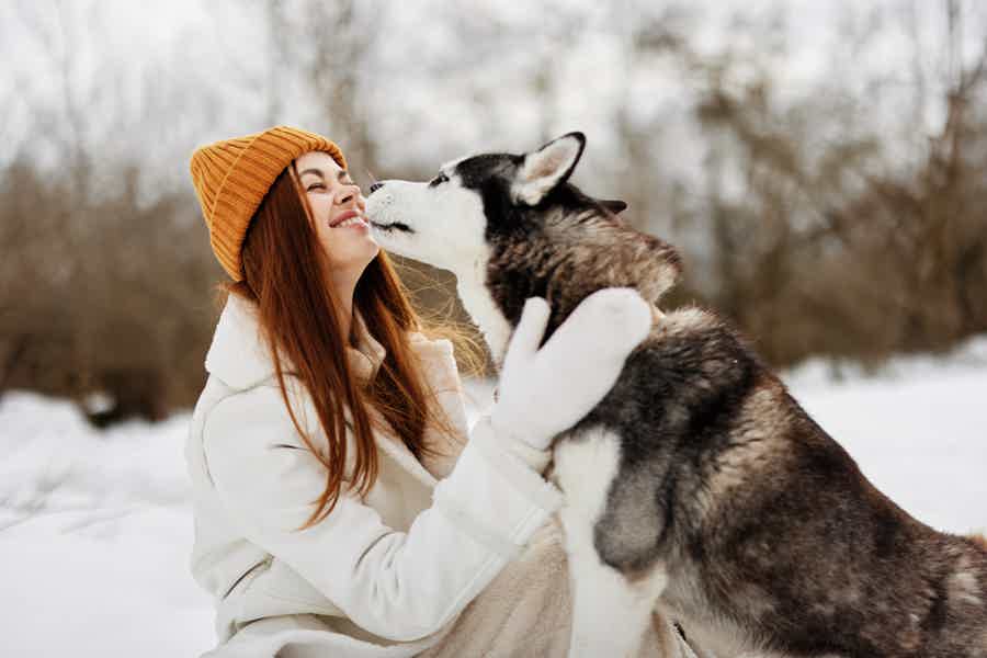 «В гости к хаски»: приключение в Доме кочевника - фото 6