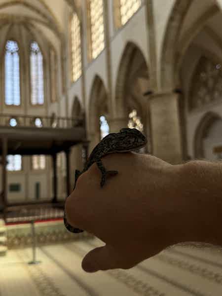 Замки и крепости средневековой Фамагусты - город призрак Вароша. - фото 5