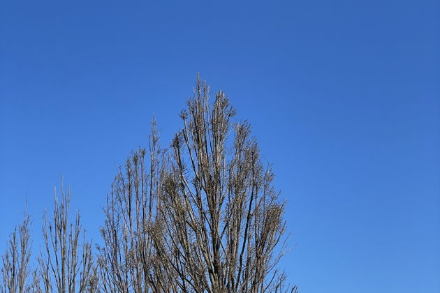 Виды Город с многовековой историей — Дербент индивидуально