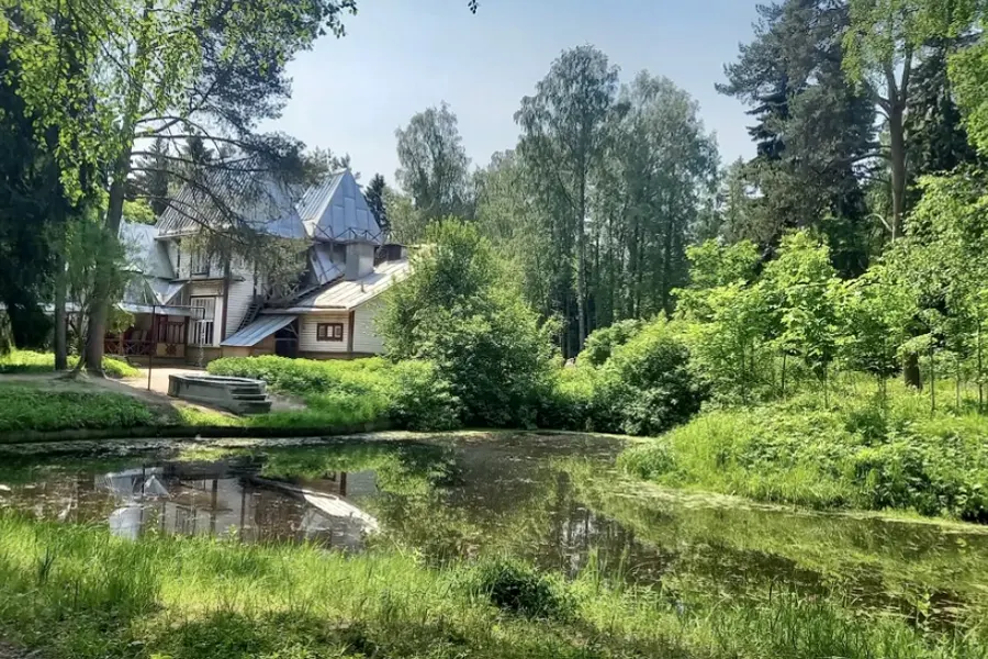 Приморский Парадиз: в Сестрорецк, Репино, Комарово и Зеленогорск — фото 1