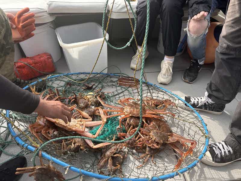 Морская рыбалка в Тихом океане на быстроходном катере - фото 2