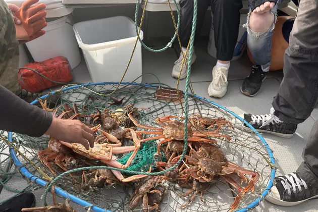 Морская рыбалка в Тихом океане на быстроходном катере — фото 3