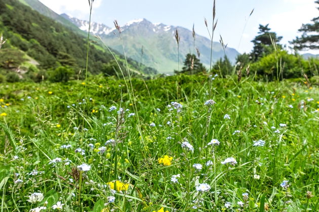 Виды Верхняя Балкария, Язык Тролля и замок Шато-Эркен