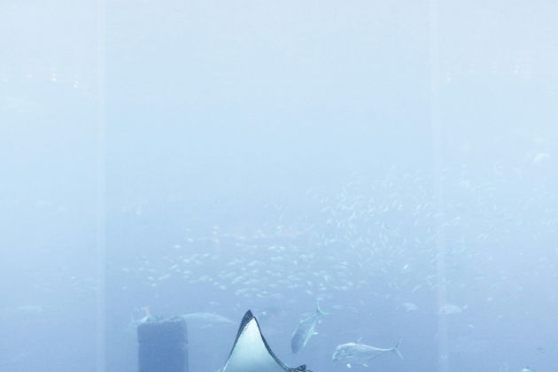 Виды Вся магия Дубая за один день — премиум тур в мини-группе