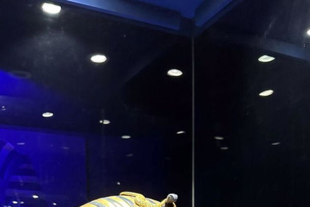 Каир новый музей, пирамиды, Сфинкс из шарм эль шейх в мини групп