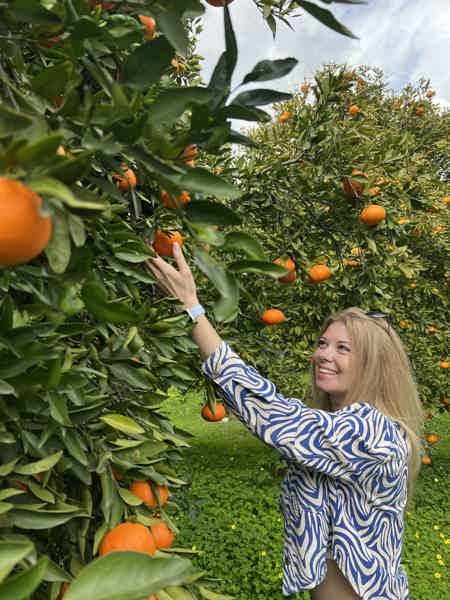 Обзорная - город Пафос - фото 1